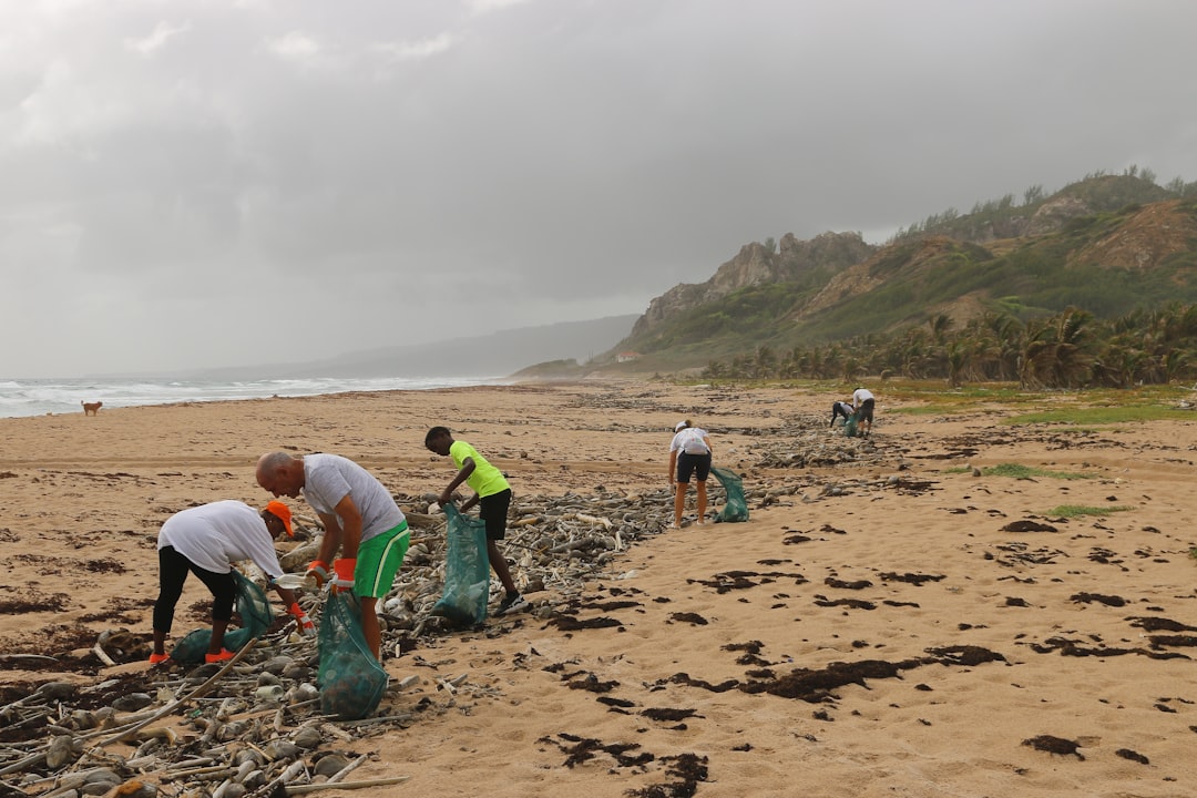 A beach cleanup that I helped organize in Barbados. We collected hundreds of plastic water bottles, along with a variety of other single use plastics that washed in with the tide. Single use plastics threaten the health of our oceans, and we can all do something to help prevent it. Follow on Instagram @wildlife_by_yuri, and find more free plastic pollution photos at: https://www.wildlifebyyuri.com/free-ocean-photography
